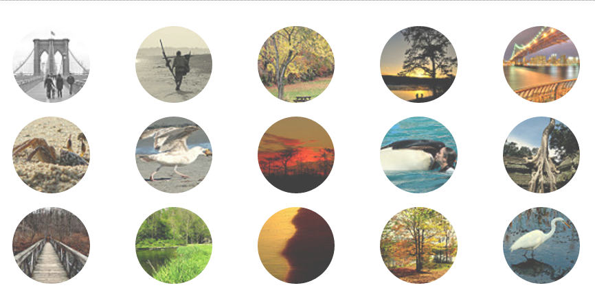 Circular Thumbnails